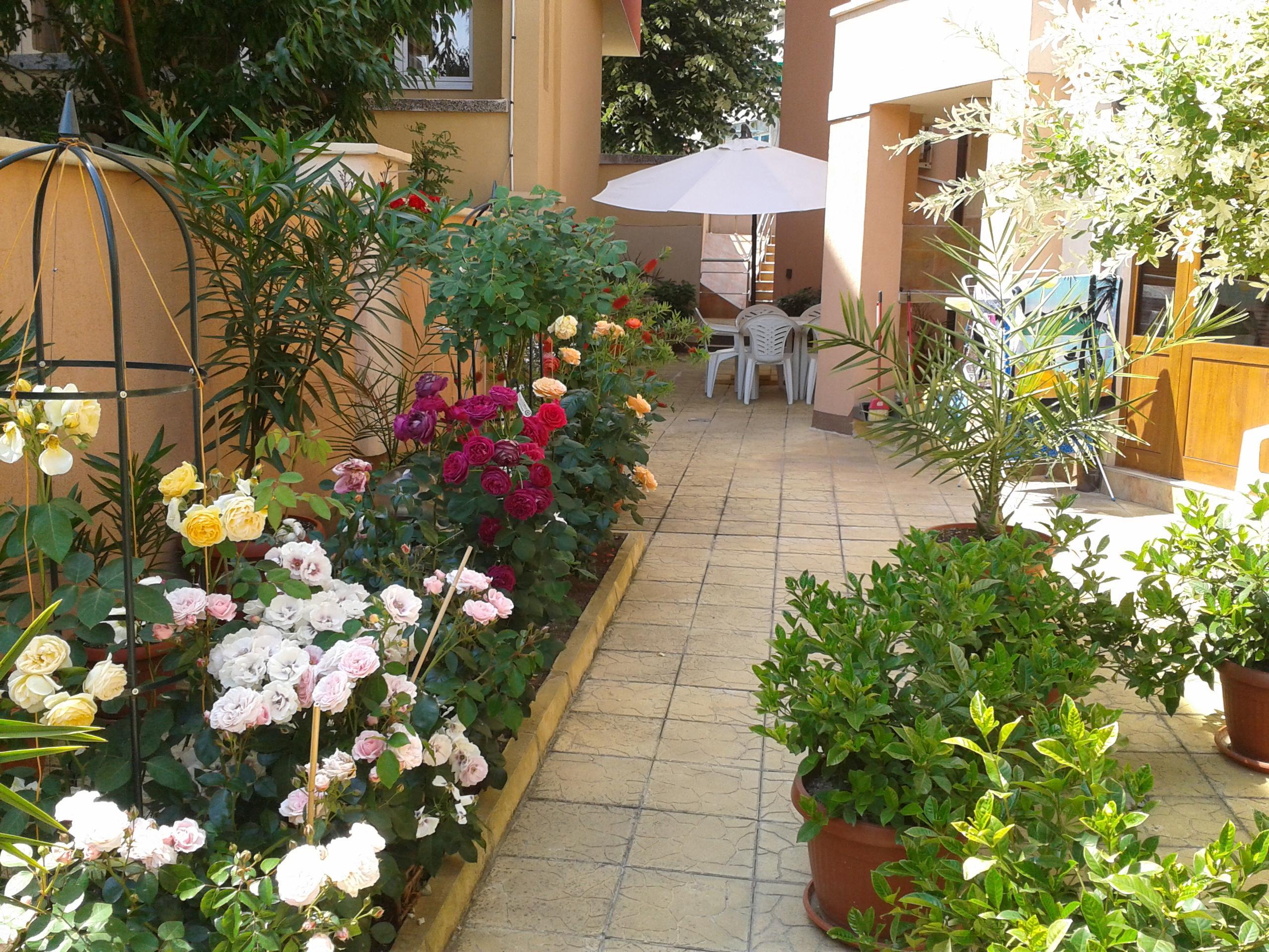 Hotel Chuchulev Sozopol Buitenkant foto