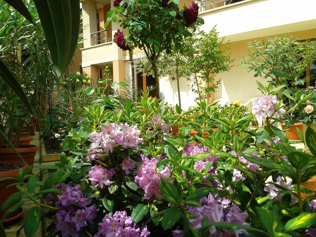 Hotel Chuchulev Sozopol Buitenkant foto
